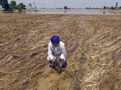 Mixed rainfall in India's agri regions, floods and deficits, raise food inflation risk: Report | Mixed rainfall in India's agri regions, floods and deficits, raise food inflation risk: Report