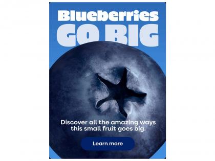 New Study Suggests Substituting Common Fruits with Berries, Including Blueberries, May Lower Cardiovascular Disease Risk | New Study Suggests Substituting Common Fruits with Berries, Including Blueberries, May Lower Cardiovascular Disease Risk
