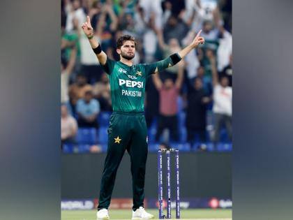 "Tiger kaun?": Shaheen Afridi forgets Bangladesh's popular nickname leading to hilarious moment | "Tiger kaun?": Shaheen Afridi forgets Bangladesh's popular nickname leading to hilarious moment
