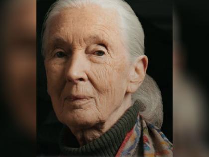 Chronicler of Chimpanzees, Jane Goodall dies at 91 | Chronicler of Chimpanzees, Jane Goodall dies at 91