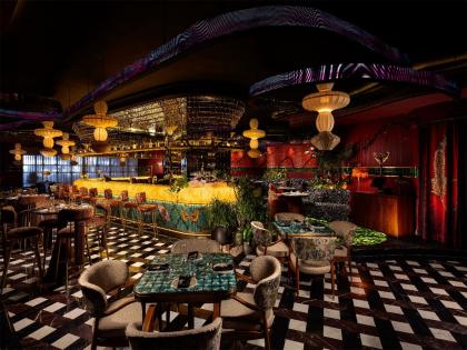 Tubata Pitampura: Where Art Meets Culinary Excellence | Tubata Pitampura: Where Art Meets Culinary Excellence