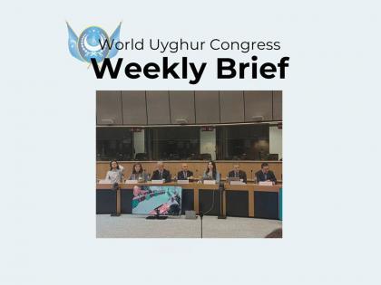 World unites against China's brutal campaign to erase Uyghur identity and faith | World unites against China's brutal campaign to erase Uyghur identity and faith