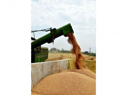 Rabi MSP hike to have muted impact on inflation: Report | Rabi MSP hike to have muted impact on inflation: Report