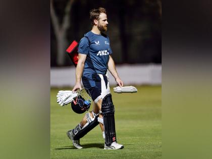 New Zealand coach Rob Walter confirms Kane Williamson's availability for home summer | New Zealand coach Rob Walter confirms Kane Williamson's availability for home summer