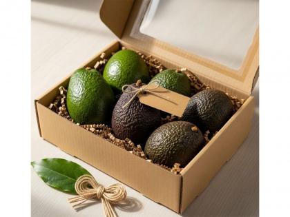 Celebrate the Season with Healthy Gifting: Avocados Take Centre Stage | Celebrate the Season with Healthy Gifting: Avocados Take Centre Stage Celebrate the Season with Healthy Gifting: Avocados Take Centre Stage | Celebrate the Season with Healthy Gifting: Avocados Take Centre Stage