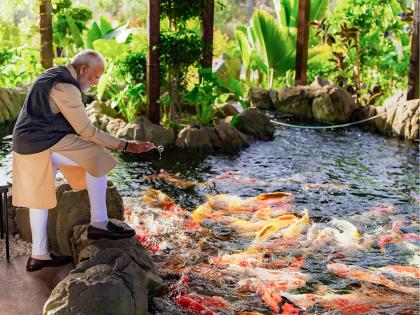 Prime Minister launches and lays foundation for fisheries projects worth over Rs 693 crore | Prime Minister launches and lays foundation for fisheries projects worth over Rs 693 crore