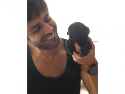 Kartik Aaryan adds new member 'Chatori' to his family this Diwali, welcomes a puppy with adorable posts | Kartik Aaryan adds new member 'Chatori' to his family this Diwali, welcomes a puppy with adorable posts Kartik Aaryan adds new member 'Chatori' to his family this Diwali, welcomes a puppy with adorable posts | Kartik Aaryan adds new member 'Chatori' to his family this Diwali, welcomes a puppy with adorable posts