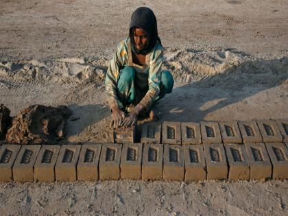 Pakistan: Sindh survey reveals 1.3 million children engaged in labour; majority employed in agriculture sector | Pakistan: Sindh survey reveals 1.3 million children engaged in labour; majority employed in agriculture sector