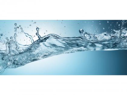 Polyglutamic Acid: The Hydration Molecule Your Hair Didn't Know It Needed | Polyglutamic Acid: The Hydration Molecule Your Hair Didn't Know It Needed Polyglutamic Acid: The Hydration Molecule Your Hair Didn't Know It Needed | Polyglutamic Acid: The Hydration Molecule Your Hair Didn't Know It Needed