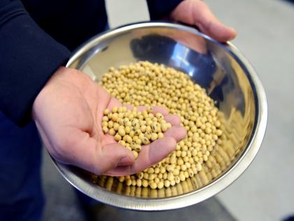 Bangladesh companies sign deal to buy USD 1 billion soybeans from US | Bangladesh companies sign deal to buy USD 1 billion soybeans from US Bangladesh companies sign deal to buy USD 1 billion soybeans from US | Bangladesh companies sign deal to buy USD 1 billion soybeans from US