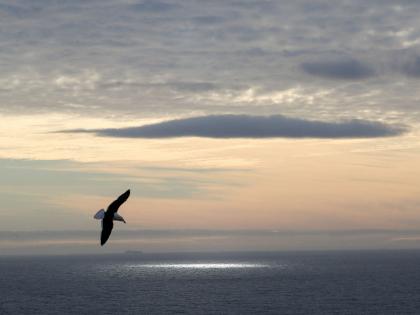 Earthquake of magnitude 6.1 rattles off East Coast of Kamchatka | Earthquake of magnitude 6.1 rattles off East Coast of Kamchatka