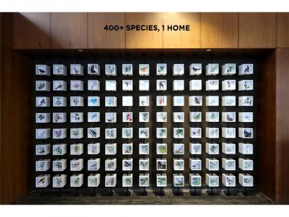 Shapoorji Pallonji Real Estate Unveils the 'Coexistence with Flora & Fauna' Mural at VANAHA, Pune | Shapoorji Pallonji Real Estate Unveils the 'Coexistence with Flora & Fauna' Mural at VANAHA, Pune