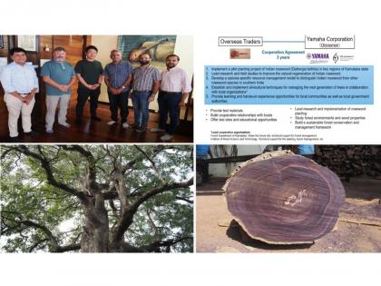 Yamaha Teams Up with Overseas Traders to Promote Sustainable Forest Conservation of Indian Rosewood | Yamaha Teams Up with Overseas Traders to Promote Sustainable Forest Conservation of Indian Rosewood