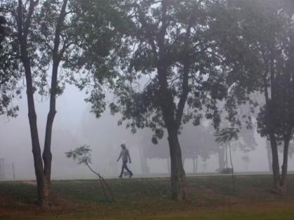 Pak: Punjab smog crisis deepens as Bahawalpur records 469 AQI | Pak: Punjab smog crisis deepens as Bahawalpur records 469 AQI