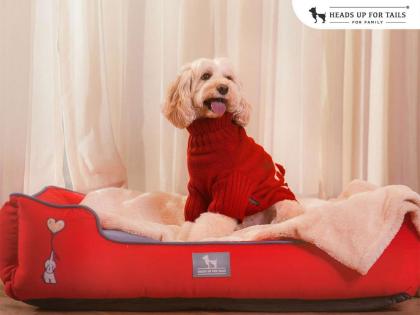 Love in the Layers: HUFT's Winter Collection Is Here to Make Life Magical for Pets and Their People | Love in the Layers: HUFT's Winter Collection Is Here to Make Life Magical for Pets and Their People