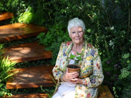 "I can't see television": Actress Judi Dench details worsening eyesight due to macular degeneration | "I can't see television": Actress Judi Dench details worsening eyesight due to macular degeneration