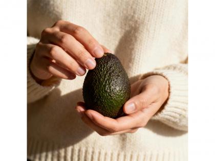 Why Adding Avocados to Your Diet is the Ultimate Cold-Weather Hack | Why Adding Avocados to Your Diet is the Ultimate Cold-Weather Hack Why Adding Avocados to Your Diet is the Ultimate Cold-Weather Hack | Why Adding Avocados to Your Diet is the Ultimate Cold-Weather Hack