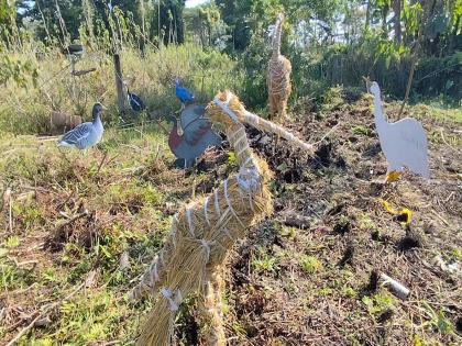 Assam's Majuli hosts 'Charaichung Festival' to revive Asia's first protected royal bird sanctuary | Assam's Majuli hosts 'Charaichung Festival' to revive Asia's first protected royal bird sanctuary