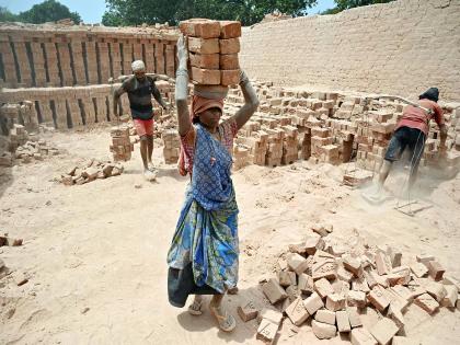 Jobs in labour-heavy sectors seen as key to sustaining 8% GDP growth: NCAER Study | Jobs in labour-heavy sectors seen as key to sustaining 8% GDP growth: NCAER Study