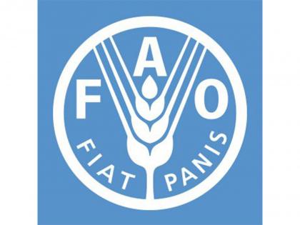 Renewable water availability per person plunges 7% in decade as global scarcity deepens, FAO data shows | Renewable water availability per person plunges 7% in decade as global scarcity deepens, FAO data shows Renewable water availability per person plunges 7% in decade as global scarcity deepens, FAO data shows | Renewable water availability per person plunges 7% in decade as global scarcity deepens, FAO data shows