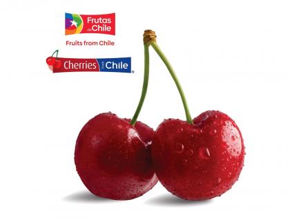 The much-awaited 2025 season of Chilean cherries has arrived, bringing the freshest and most delicious cherries to markets across India | The much-awaited 2025 season of Chilean cherries has arrived, bringing the freshest and most delicious cherries to markets across India The much-awaited 2025 season of Chilean cherries has arrived, bringing the freshest and most delicious cherries to markets across India | The much-awaited 2025 season of Chilean cherries has arrived, bringing the freshest and most delicious cherries to markets across India