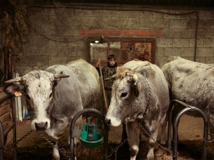 French govt to vaccinate 1mn cattle against lumpy skin disease | French govt to vaccinate 1mn cattle against lumpy skin disease French govt to vaccinate 1mn cattle against lumpy skin disease | French govt to vaccinate 1mn cattle against lumpy skin disease