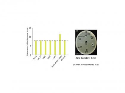 SynbioTech Wins 5 Gold Medals at US Innovation Awards | SynbioTech Wins 5 Gold Medals at US Innovation Awards SynbioTech Wins 5 Gold Medals at US Innovation Awards | SynbioTech Wins 5 Gold Medals at US Innovation Awards