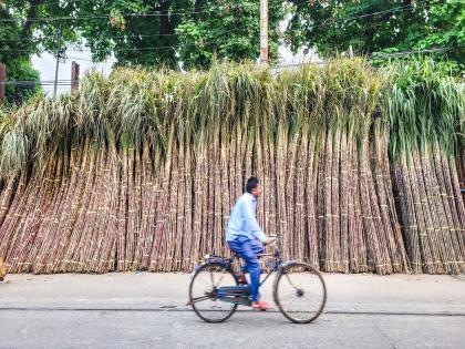 ISMA seeks higher sugar Minimum Selling Price to safeguard financial health of sugar farmers | ISMA seeks higher sugar Minimum Selling Price to safeguard financial health of sugar farmers ISMA seeks higher sugar Minimum Selling Price to safeguard financial health of sugar farmers | ISMA seeks higher sugar Minimum Selling Price to safeguard financial health of sugar farmers