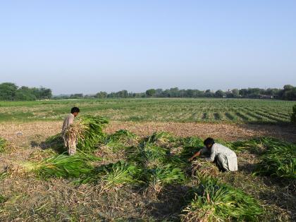 Pakistan flood-hit farmers move climate justice case in Germany against top polluters | Pakistan flood-hit farmers move climate justice case in Germany against top polluters Pakistan flood-hit farmers move climate justice case in Germany against top polluters | Pakistan flood-hit farmers move climate justice case in Germany against top polluters