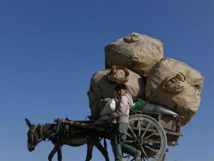 Pakistan's border mismanagement bleeds economy as Balochistan-Afghan trade remains frozen | Pakistan's border mismanagement bleeds economy as Balochistan-Afghan trade remains frozen Pakistan's border mismanagement bleeds economy as Balochistan-Afghan trade remains frozen | Pakistan's border mismanagement bleeds economy as Balochistan-Afghan trade remains frozen