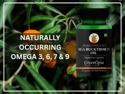 GreenOpia Sea Buckthorn Oil Capsules: The Natural Path to Inner Wellness and Radiant Health | GreenOpia Sea Buckthorn Oil Capsules: The Natural Path to Inner Wellness and Radiant Health GreenOpia Sea Buckthorn Oil Capsules: The Natural Path to Inner Wellness and Radiant Health | GreenOpia Sea Buckthorn Oil Capsules: The Natural Path to Inner Wellness and Radiant Health