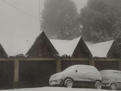 Himachal Pradesh: Fresh snowfall brings relief to farmers, excitement among tourists in Shimla | Himachal Pradesh: Fresh snowfall brings relief to farmers, excitement among tourists in Shimla Himachal Pradesh: Fresh snowfall brings relief to farmers, excitement among tourists in Shimla | Himachal Pradesh: Fresh snowfall brings relief to farmers, excitement among tourists in Shimla