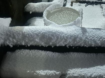 Snowfall, rain lash Himachal; over 560 roads blocked, nearly 4,800 power transformers disrupted | Snowfall, rain lash Himachal; over 560 roads blocked, nearly 4,800 power transformers disrupted Snowfall, rain lash Himachal; over 560 roads blocked, nearly 4,800 power transformers disrupted | Snowfall, rain lash Himachal; over 560 roads blocked, nearly 4,800 power transformers disrupted