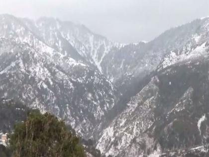 Himachal: Dharamshala and Manali receives heavy snowfall; tourists rejoice | Himachal: Dharamshala and Manali receives heavy snowfall; tourists rejoice Himachal: Dharamshala and Manali receives heavy snowfall; tourists rejoice | Himachal: Dharamshala and Manali receives heavy snowfall; tourists rejoice
