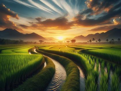 Kerala Economic Review 2025: State posts 6.19% GSDP growth | Kerala Economic Review 2025: State posts 6.19% GSDP growth Kerala Economic Review 2025: State posts 6.19% GSDP growth | Kerala Economic Review 2025: State posts 6.19% GSDP growth