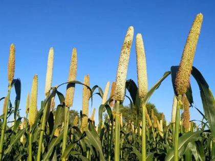 J-K: Woman in border village running Millets restaurant inspires self-employment | J-K: Woman in border village running Millets restaurant inspires self-employment J-K: Woman in border village running Millets restaurant inspires self-employment | J-K: Woman in border village running Millets restaurant inspires self-employment