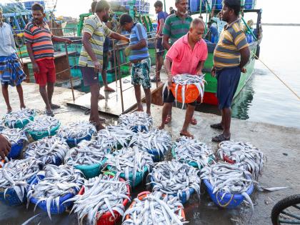 India safeguards billion-dollar seafood and agri exports as EU tightens antibiotic norms | India safeguards billion-dollar seafood and agri exports as EU tightens antibiotic norms India safeguards billion-dollar seafood and agri exports as EU tightens antibiotic norms | India safeguards billion-dollar seafood and agri exports as EU tightens antibiotic norms