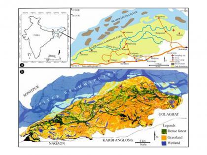 Researchers trace Kaziranga's evolution into last great home of one-horned rhino | Researchers trace Kaziranga's evolution into last great home of one-horned rhino Researchers trace Kaziranga's evolution into last great home of one-horned rhino | Researchers trace Kaziranga's evolution into last great home of one-horned rhino
