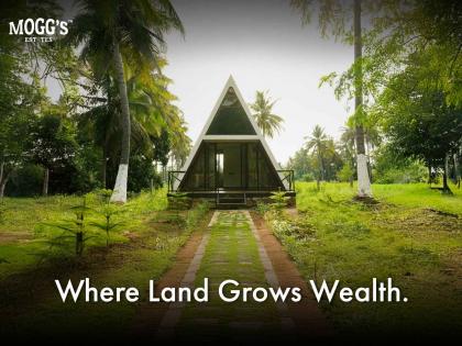 How Managed Farmland Is Emerging as a Smart Asset Class in Karnataka | How Managed Farmland Is Emerging as a Smart Asset Class in Karnataka How Managed Farmland Is Emerging as a Smart Asset Class in Karnataka | How Managed Farmland Is Emerging as a Smart Asset Class in Karnataka