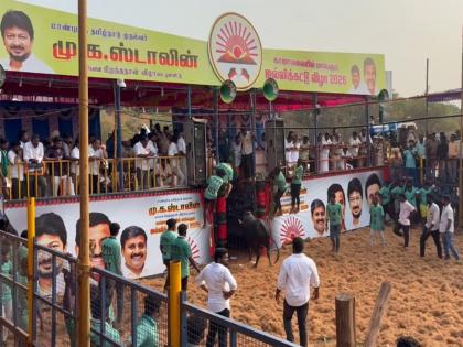 Grand Jallikattu competition underway in Trichy; 750 bulls, 500 tamers participate | Grand Jallikattu competition underway in Trichy; 750 bulls, 500 tamers participate Grand Jallikattu competition underway in Trichy; 750 bulls, 500 tamers participate | Grand Jallikattu competition underway in Trichy; 750 bulls, 500 tamers participate