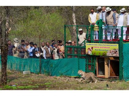 Union Environment Minister Bhupender Yadav welcomes 9 Cheetahs from Botswana, at Kuno National Park in Madhya Pradesh | Union Environment Minister Bhupender Yadav welcomes 9 Cheetahs from Botswana, at Kuno National Park in Madhya Pradesh Union Environment Minister Bhupender Yadav welcomes 9 Cheetahs from Botswana, at Kuno National Park in Madhya Pradesh | Union Environment Minister Bhupender Yadav welcomes 9 Cheetahs from Botswana, at Kuno National Park in Madhya Pradesh