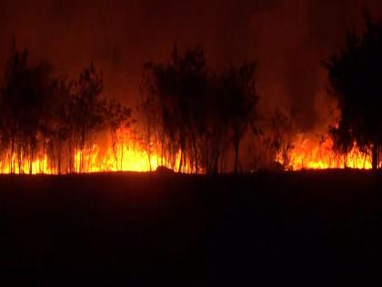 Fire breaks out in grassy area of Indore Airport; no effect on flight operations | Fire breaks out in grassy area of Indore Airport; no effect on flight operations Fire breaks out in grassy area of Indore Airport; no effect on flight operations | Fire breaks out in grassy area of Indore Airport; no effect on flight operations