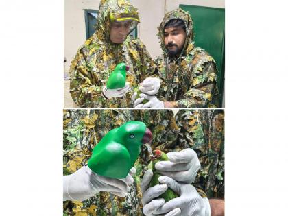 Gopalan Foundation Students Create 'Mother Parakeet' Feeding Model to Save 46 Orphaned Chicks | Gopalan Foundation Students Create 'Mother Parakeet' Feeding Model to Save 46 Orphaned Chicks Gopalan Foundation Students Create 'Mother Parakeet' Feeding Model to Save 46 Orphaned Chicks | Gopalan Foundation Students Create 'Mother Parakeet' Feeding Model to Save 46 Orphaned Chicks