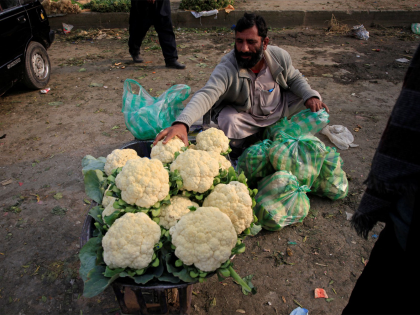 Pakistan's outdated mandi system stifles agricultural innovation