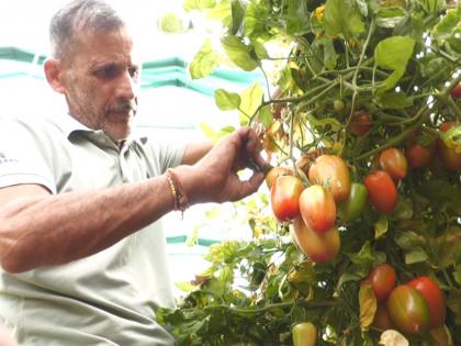 J-K: Farmer in Udhampur transforms livelihood through 95% govt subsidy under HADP initiative | J-K: Farmer in Udhampur transforms livelihood through 95% govt subsidy under HADP initiative J-K: Farmer in Udhampur transforms livelihood through 95% govt subsidy under HADP initiative | J-K: Farmer in Udhampur transforms livelihood through 95% govt subsidy under HADP initiative