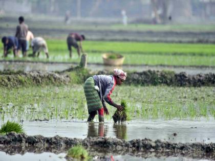 Centre identifies degraded forest land across states for restoration under Green Credit Programme | Centre identifies degraded forest land across states for restoration under Green Credit Programme Centre identifies degraded forest land across states for restoration under Green Credit Programme | Centre identifies degraded forest land across states for restoration under Green Credit Programme