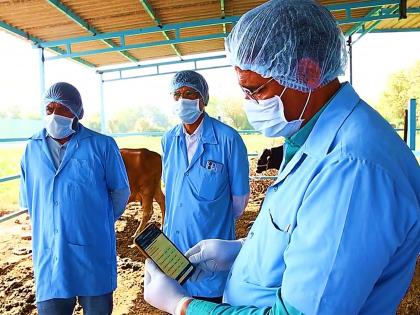 Gujarat sets sights on eradicating Foot and Mouth disease; massive vaccination drive underway | Gujarat sets sights on eradicating Foot and Mouth disease; massive vaccination drive underway Gujarat sets sights on eradicating Foot and Mouth disease; massive vaccination drive underway | Gujarat sets sights on eradicating Foot and Mouth disease; massive vaccination drive underway