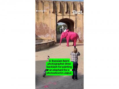 Spare Human Whims on wild Animals, Says World Animal Protection | Spare Human Whims on wild Animals, Says World Animal Protection