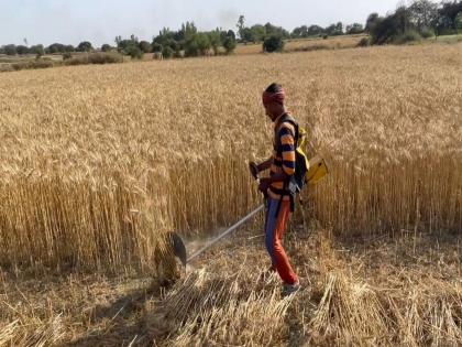 Uttar Pradesh: Farmers to be provided with 100 battery powered E-Brushcutters to mitigate stubble burning | Uttar Pradesh: Farmers to be provided with 100 battery powered E-Brushcutters to mitigate stubble burning Uttar Pradesh: Farmers to be provided with 100 battery powered E-Brushcutters to mitigate stubble burning | Uttar Pradesh: Farmers to be provided with 100 battery powered E-Brushcutters to mitigate stubble burning