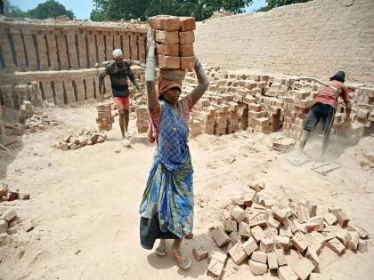 Chhattisgarh, Odisha and Jharkhand record highest minimum wage disparity in India: SBI Report | Chhattisgarh, Odisha and Jharkhand record highest minimum wage disparity in India: SBI Report Chhattisgarh, Odisha and Jharkhand record highest minimum wage disparity in India: SBI Report | Chhattisgarh, Odisha and Jharkhand record highest minimum wage disparity in India: SBI Report